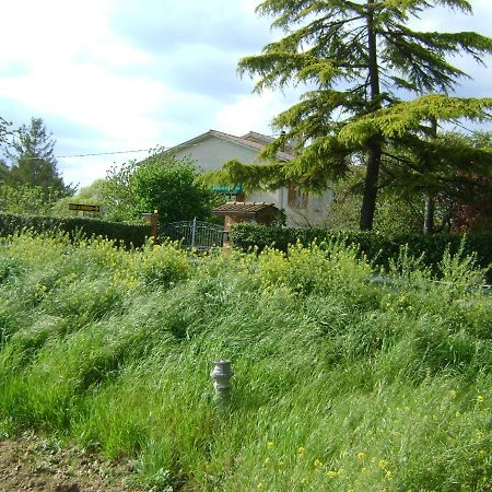 B&B La Mimosa Spello Bagian luar foto