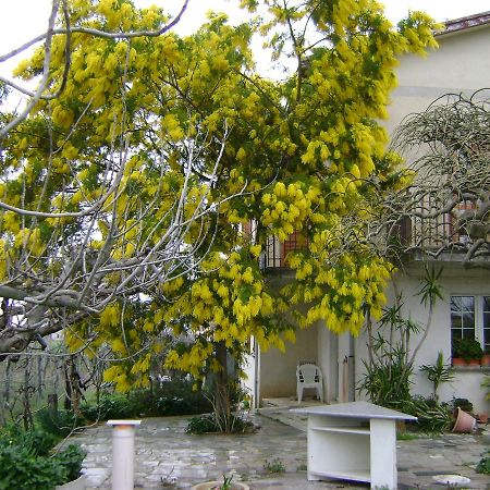 B&B La Mimosa Spello Bagian luar foto