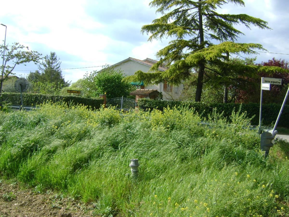 B&B La Mimosa Spello Bagian luar foto