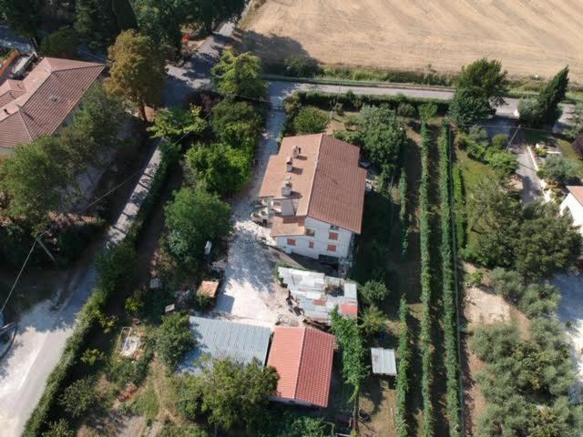 B&B La Mimosa Spello Bagian luar foto