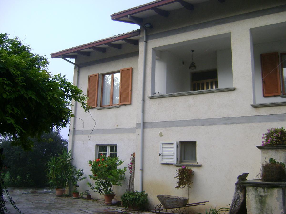 B&B La Mimosa Spello Bagian luar foto